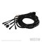 Westin Automotive INCLUDES QTY 4 LIGHTS, 14 FEET 9 INCHES LONG WIRING HARNESS AND SWITCH. BLK LED 09-80005 - alternate 7